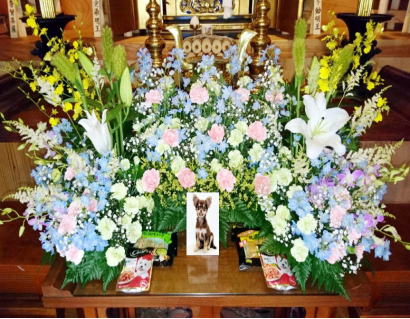 お葬式+火葬+納骨プラン